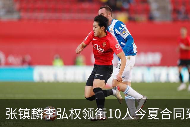 张镇麟李弘权领衔10人今夏合同到期：上海除王哲林两大顶薪花落谁家？